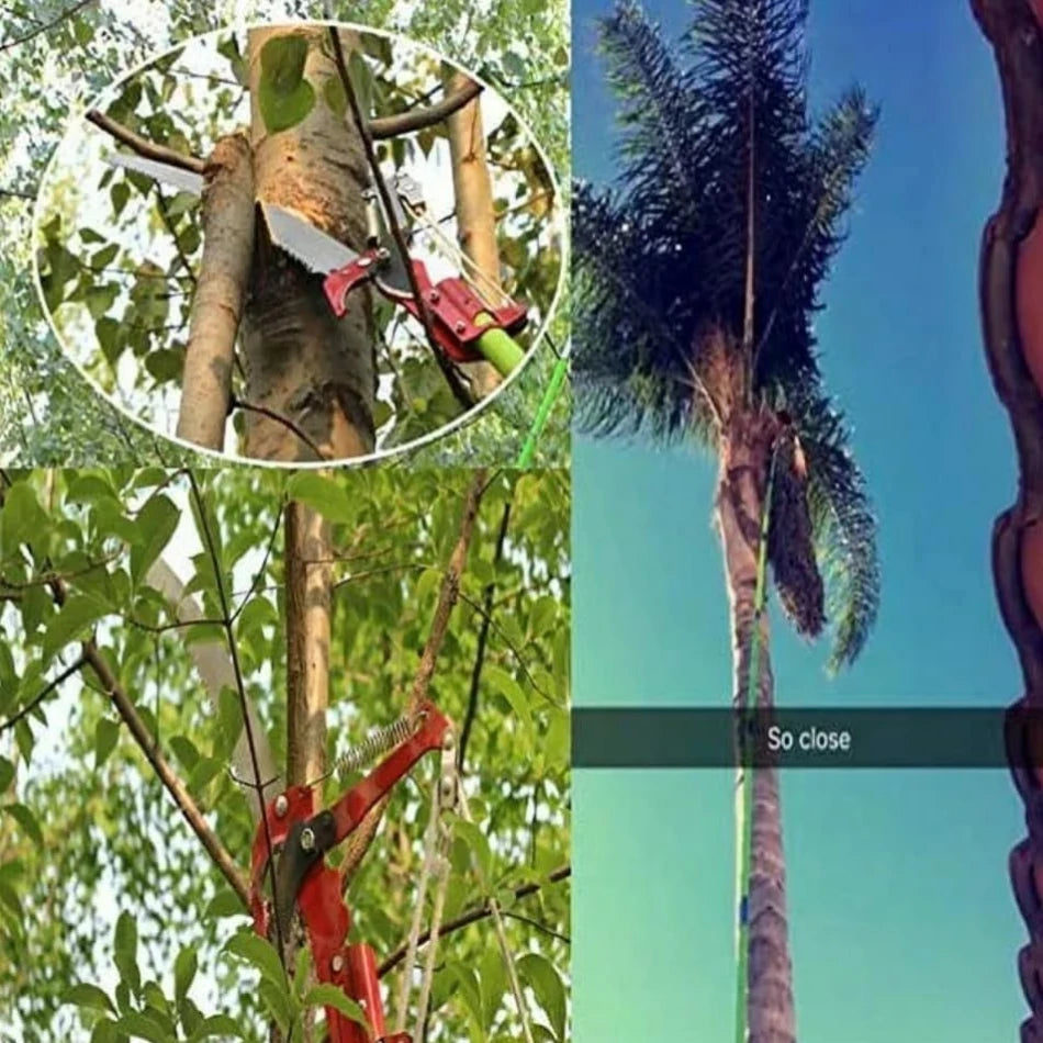 2-in-1 Extendable Tree Pruner & Pole Saw