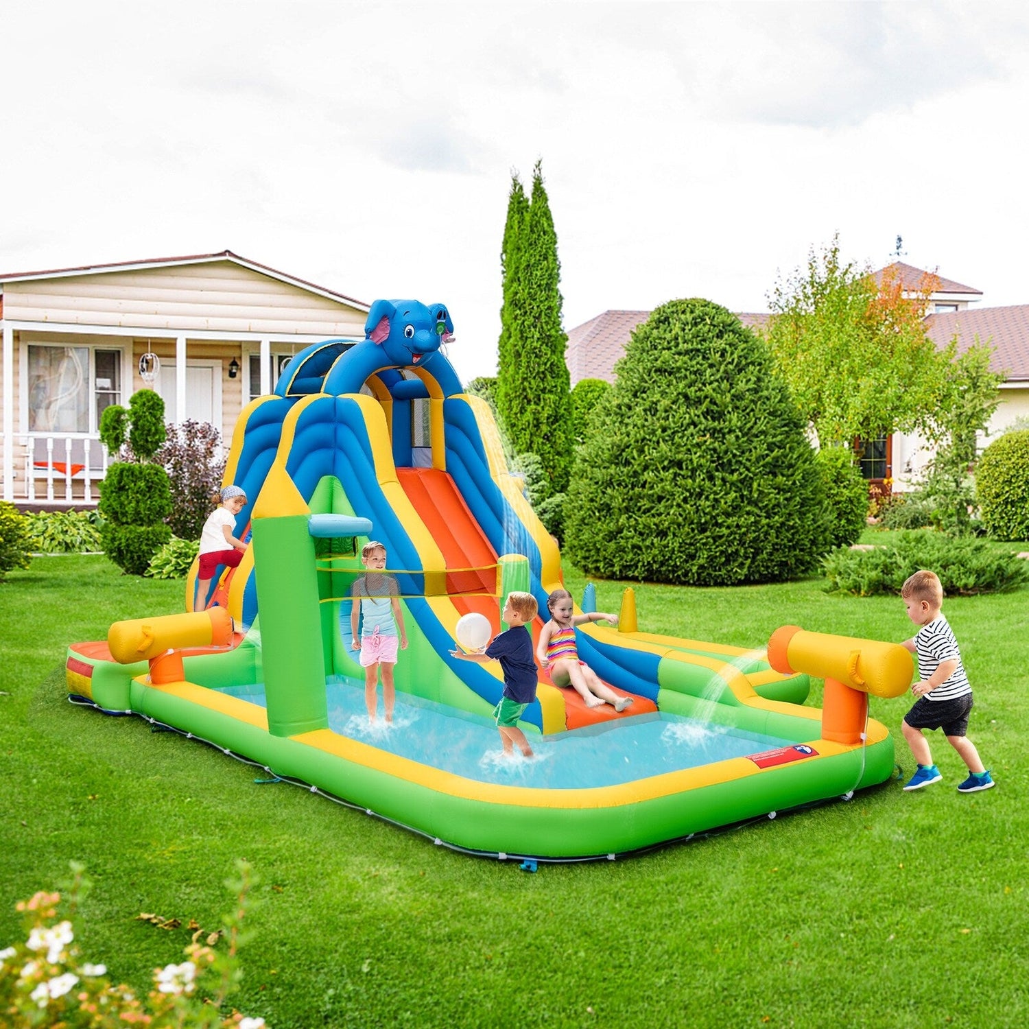 Backyard Fun